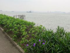 -海鸥岛