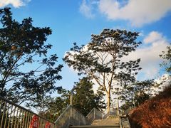 -白石龙音乐公园