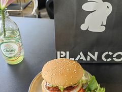 -PLAN CO