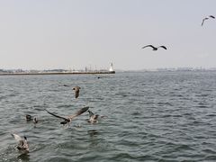-星海广场
