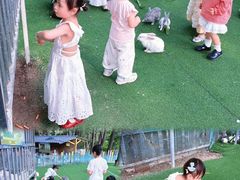 -广东花都香草世界旅游度假区
