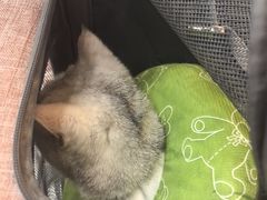 -联合动物医院(光谷诊疗中心)