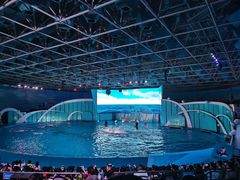 -海合安青岛极地海洋公园