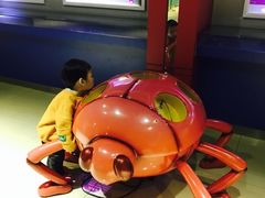 -上海昆虫博物馆