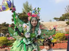 -荷兰花海