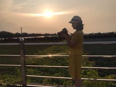 -白鹿原葡萄主题公园