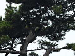 -妙峰山风景名胜区