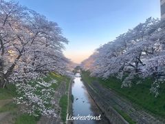 -枫雅和服体验(奈良店)