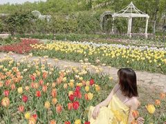 -石家庄市植物园