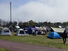 -春花秋色城市公园