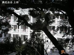 三楼望出去的wedding&nbsp;story-花马天堂云南餐厅 Lost Heaven(高邮路店)
