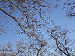 -北京西山国家森林公园