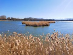 -野鸭湖国家湿地公园