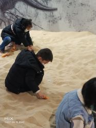 -恐龙探索乐园(磁器口店)