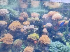 -杭州长乔极地海洋公园