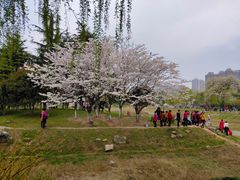 -堤角公园