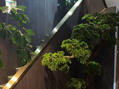 -野菌皇海景野生菌火锅(滨海大道店)