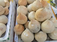 牛奶椰-新鸿港水果市场