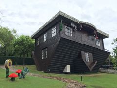 -金山农民画村-枫泾波兰倒置屋