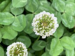 -洋湖国家湿地公园