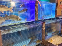 -老渔翁炖鱼坊(黄海西路东山店)