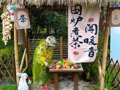 -东平国家森林公园