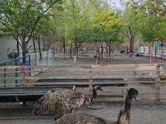 -水上乐园·欢乐世界