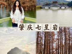 -鼎香皇高佬苏裹蒸粽