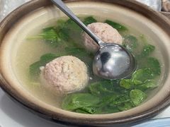 -丁老爷子苏香圆