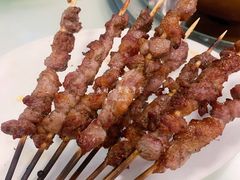 羊肉串-福寿斋·老北京铜锅涮肉·烤鸭(顺义总店)