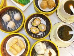 -肥佬夜茶(早茶·西乡店)