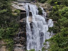 -海南热带雨林国家公园吊罗山景区