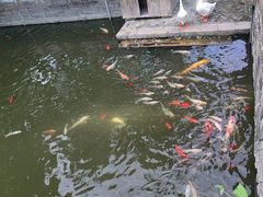 -苏州文庙(姑苏区)