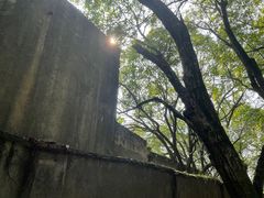 -上海佘山国家森林公园天马山园