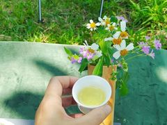 -中国科学院华南植物园