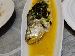 -老绍兴养和饭店(向阳不夜城店)