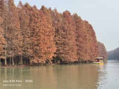 -上海海湾国家森林公园