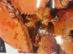 android_upload_pic-簋街仔仔小龙虾(总店)