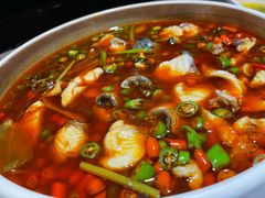 鲜椒清波-尽膳·鱼鲜川菜(宽窄巷子店)