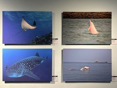 -中国湿地博物馆