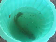 -重庆彩云湖湿地公园