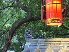 -古真记钵钵鸡(总店)