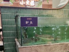 -鱼你相聚·河鲜馆(袁家岭店)