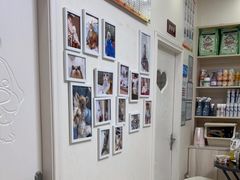 -瑞派康怡24h宠物医院·犬猫医疗中心·微创绝育(瑞景分院)