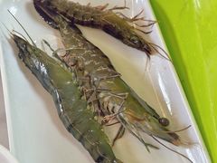 -养牛邓·潮汕牛肉海鲜自助火锅(广州店)