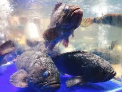 -船家渔(徐州北路店)