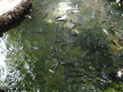 -侯臣咖啡文化村