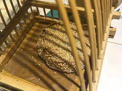 -南城十里潮汕鲜牛火锅·鲜虾生滚粥(融汇老商埠店)