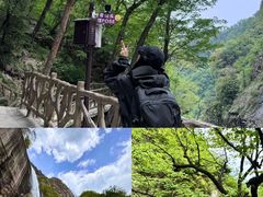 -洛阳白云山景区