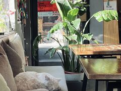 -古耳咖啡(北锣店)